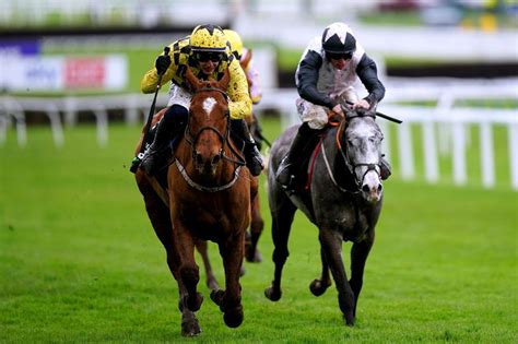 cheltenham festival horse racing tips